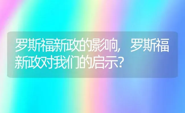 罗斯福新政的影响,罗斯福新政对我们的启示？ | 养殖常见问题