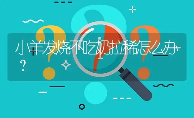 小羊发烧不吃奶拉稀怎么办? | 养殖问题解答