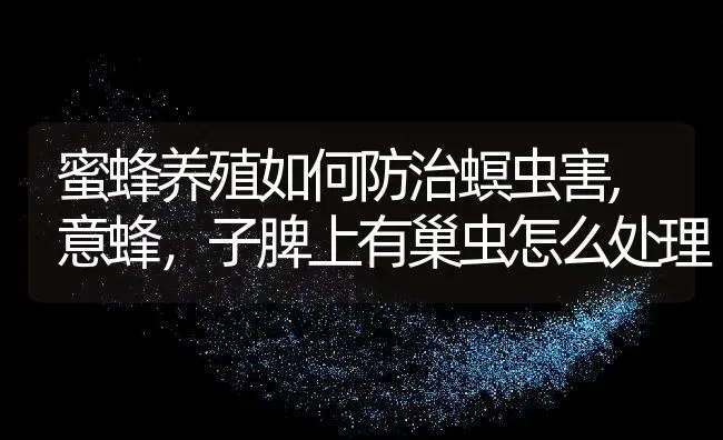 蜜蜂养殖如何防治螟虫害,意蜂，子脾上有巢虫怎么处理 | 养殖常见问题