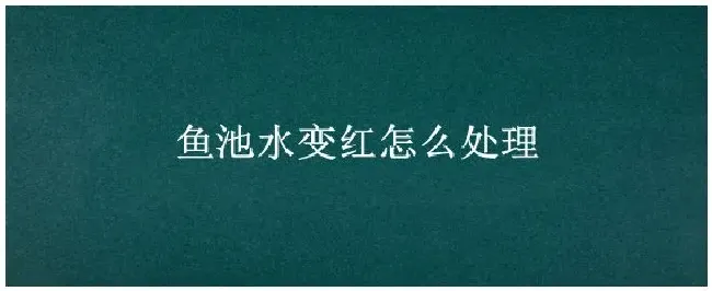 鱼池水变红怎么处理 | 科普知识