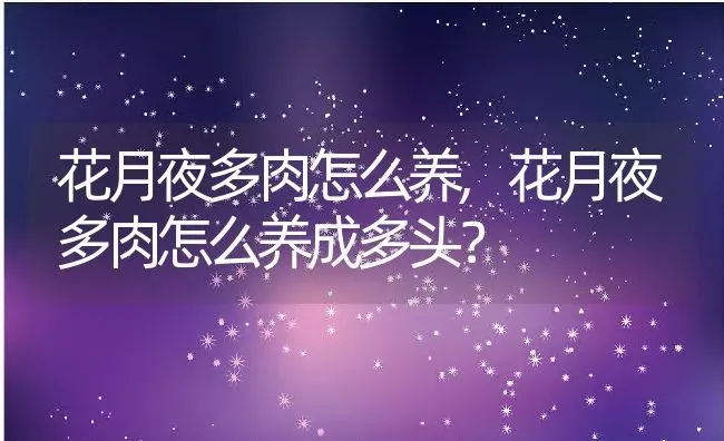 花月夜多肉怎么养,花月夜多肉怎么养成多头？ | 养殖常见问题