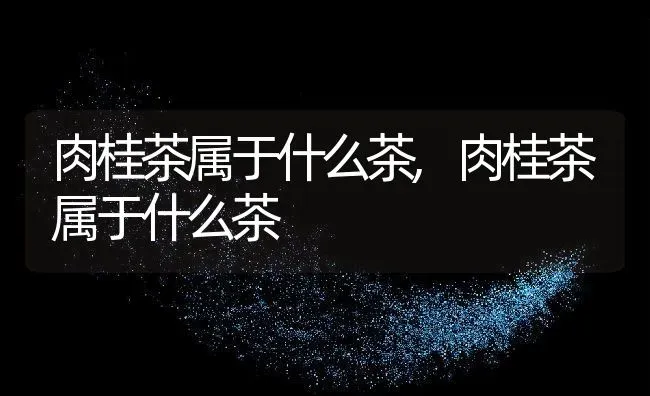 肉桂茶属于什么茶,肉桂茶属于什么茶 | 养殖常见问题