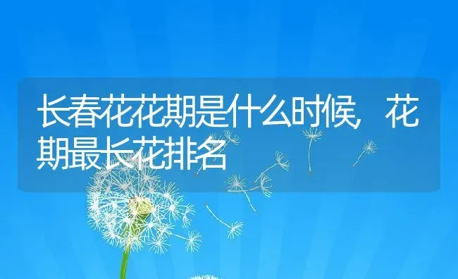 长春花花期是什么时候,花期最长花排名 | 养殖常见问题