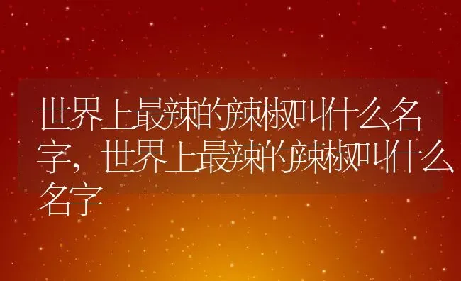 小松树有毒吗可以放在室内养吗,松树有毒吗!可以当柴烧吗？ | 养殖常见问题