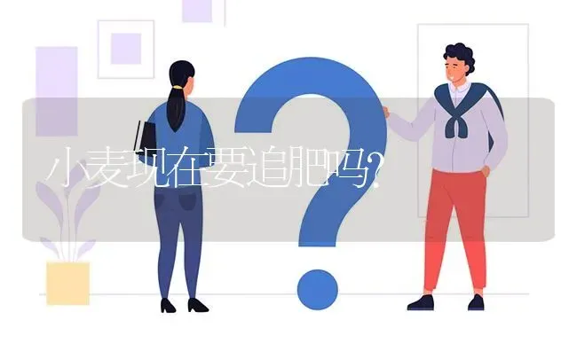 小麦现在要追肥吗? | 养殖问题解答