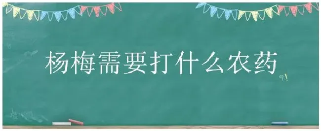 杨梅需要打什么农药 | 农业常识