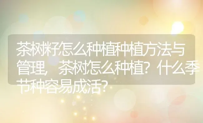 茶树籽怎么种植种植方法与管理,茶树怎么种植？什么季节种容易成活？ | 养殖常见问题