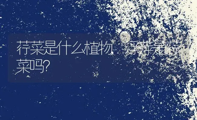 荇菜是什么植物,浮萍是荇菜吗？ | 养殖常见问题