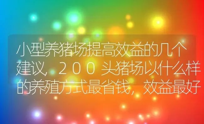 小型养猪场提高效益的几个建议,200头猪场以什么样的养殖方式最省钱，效益最好 | 养殖常见问题