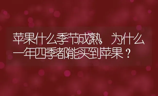 苹果什么季节成熟,为什么一年四季都能买到苹果？ | 养殖常见问题