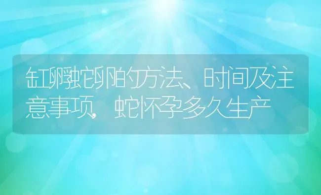 缸孵蛇卵的方法、时间及注意事项,蛇怀孕多久生产 | 养殖常见问题