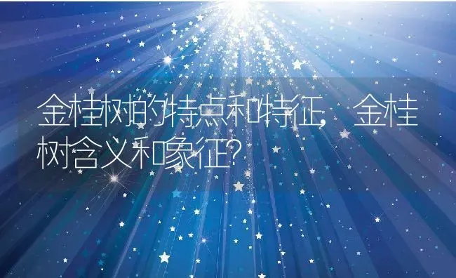 金桂树的特点和特征,金桂树含义和象征？ | 养殖常见问题