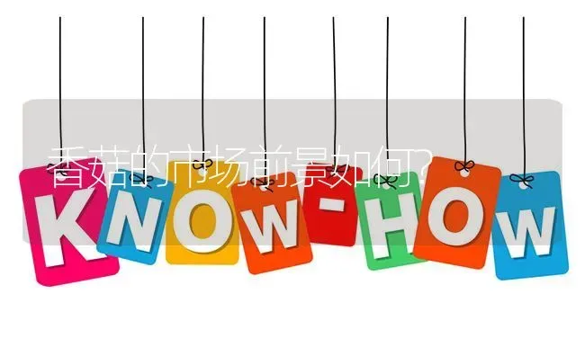 香菇的市场前景如何? | 养殖问题解答
