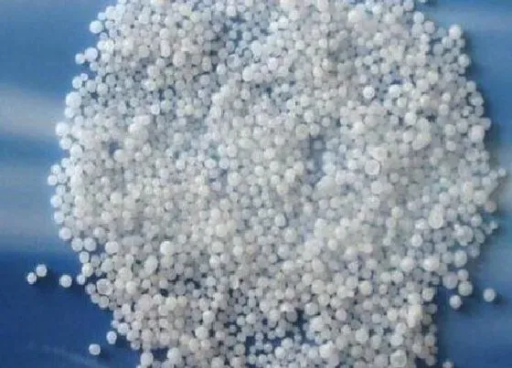 植物常识问题|氮肥如何来正确的使用