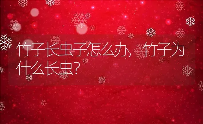 竹子长虫子怎么办,竹子为什么长虫？ | 养殖常见问题