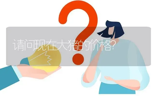 请问现在大猪的价格? | 养殖问题解答