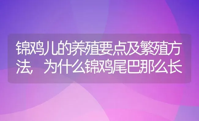 雷竹笋适合什么地方种植,雷竹秧田可以栽不？ | 养殖常见问题