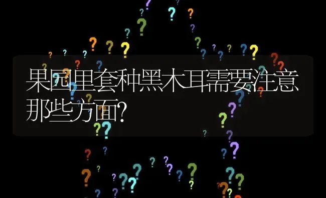 果园里套种黑木耳需要注意那些方面? | 养殖问题解答