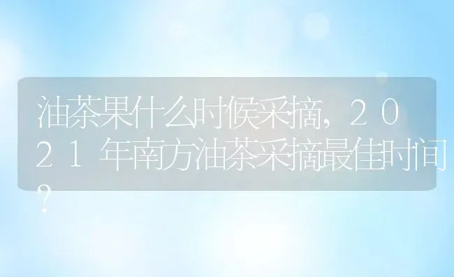 油茶果什么时候采摘,2021年南方油茶采摘最佳时间？ | 养殖常见问题