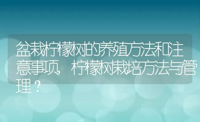 盆栽柠檬树的养殖方法和注意事项,柠檬树栽培方法与管理？ | 养殖常见问题