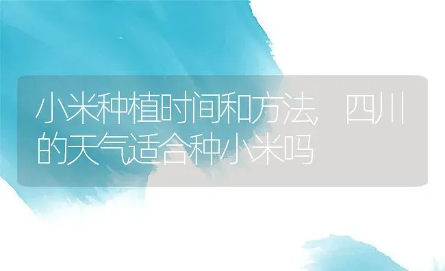 葫芦几月份种植合适,什么时候栽葫芦？ | 养殖常见问题