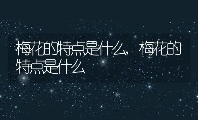梅花的特点是什么,梅花的特点是什么 | 养殖常见问题