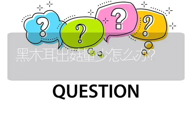 黑木耳出菇量少怎么办? | 养殖问题解答