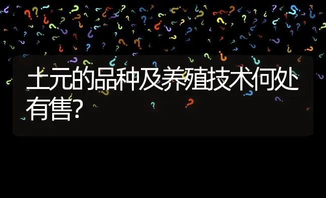 土元的品种及养殖技术何处有售? | 养殖问题解答