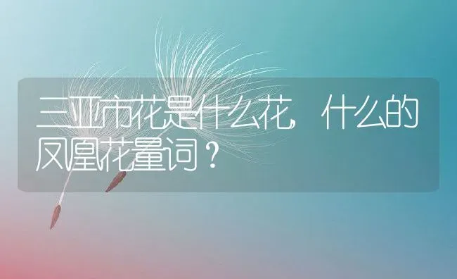 三亚市花是什么花,什么的凤凰花量词？ | 养殖常见问题