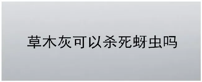 草木灰可以杀死蚜虫吗 | 农业问题