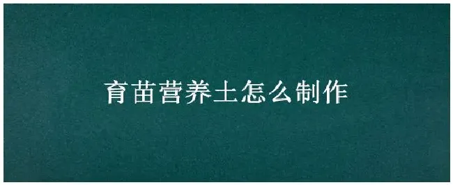 育苗营养土怎么制作 | 科普知识