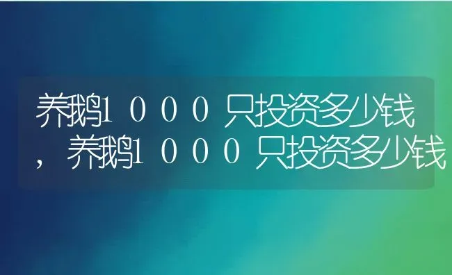 养鹅1000只投资多少钱,养鹅1000只投资多少钱 | 养殖常见问题