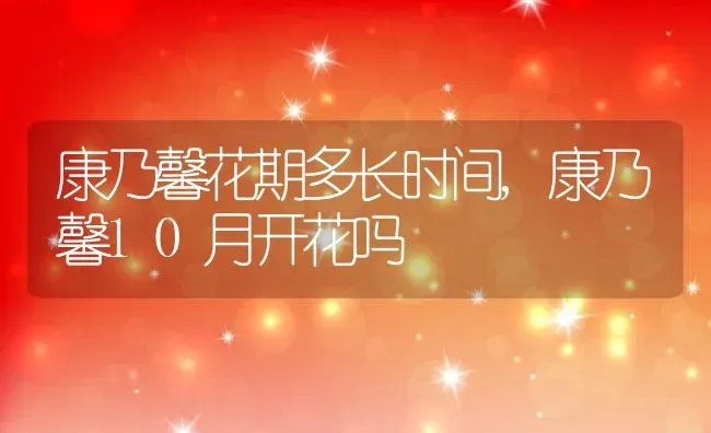 康乃馨花期多长时间,康乃馨10月开花吗 | 养殖常见问题