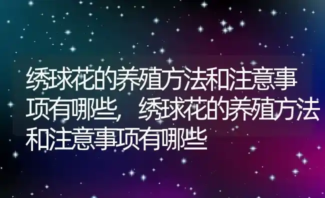 绣球花的养殖方法和注意事项有哪些,绣球花的养殖方法和注意事项有哪些 | 养殖常见问题