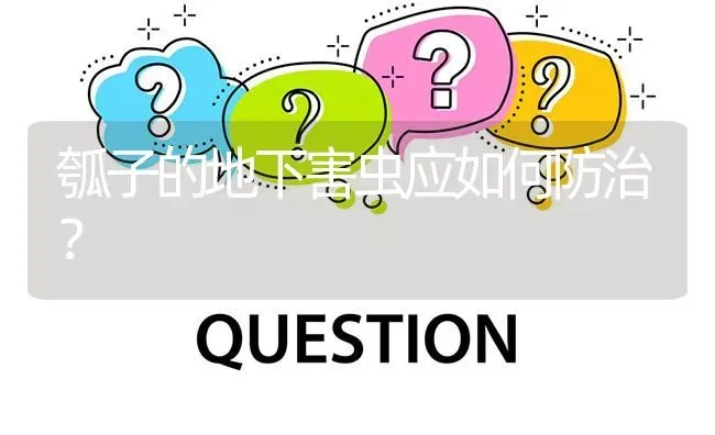 瓠子的地下害虫应如何防治? | 养殖问题解答