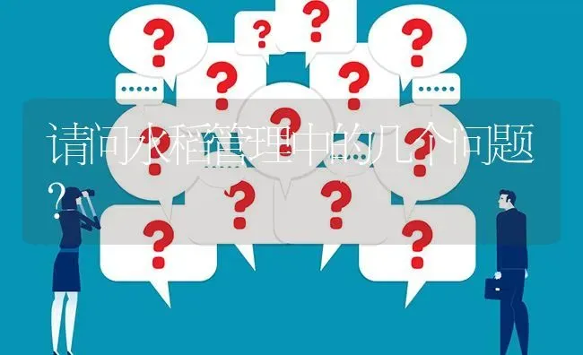 请问水稻管理中的几个问题? | 养殖问题解答