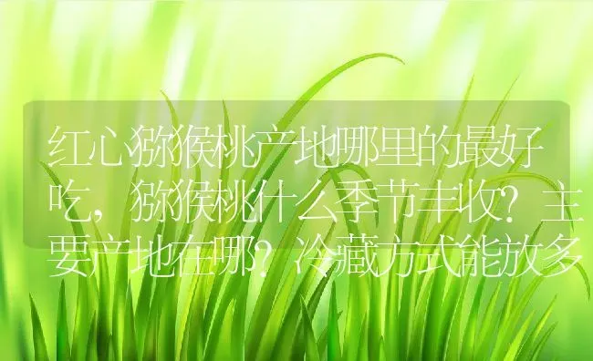 红心猕猴桃产地哪里的最好吃,猕猴桃什么季节丰收？主要产地在哪？冷藏方式能放多久 | 养殖常见问题
