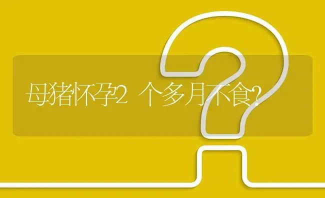 母猪怀孕2个多月不食? | 养殖问题解答