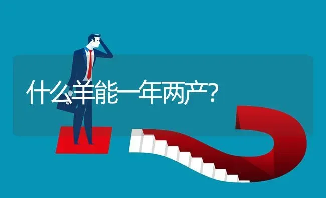 什么羊能一年两产? | 养殖问题解答