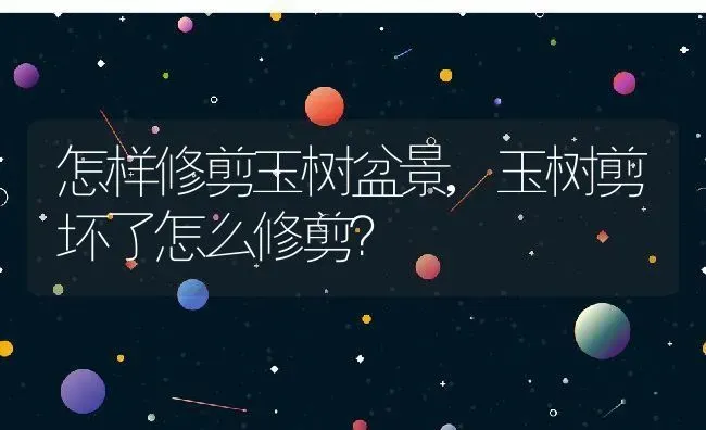 怎样修剪玉树盆景,玉树剪坏了怎么修剪？ | 养殖常见问题