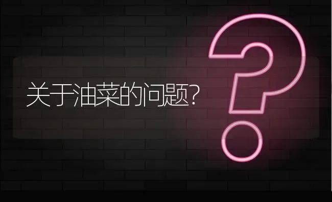 关于油菜的问题? | 养殖问题解答