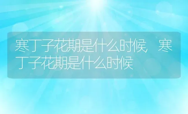 龟背竹老桩养殖方法与养护事项,龟背竹老桩多久生根？ | 养殖常见问题