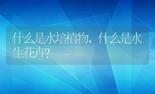 什么是水培植物,什么是水生花卉？ | 养殖常见问题