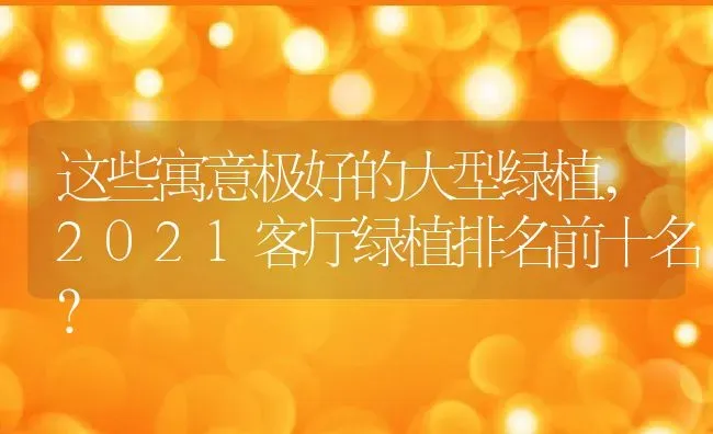 这些寓意极好的大型绿植,2021客厅绿植排名前十名？ | 养殖常见问题