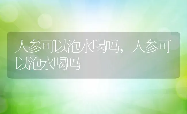 人参可以泡水喝吗,人参可以泡水喝吗 | 养殖常见问题