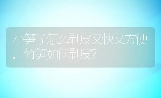 小笋子怎么剥皮又快又方便,竹笋如何剥皮？ | 养殖常见问题