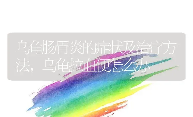乌龟肠胃炎的症状及治疗方法,乌龟拉血便怎么办 | 养殖常见问题