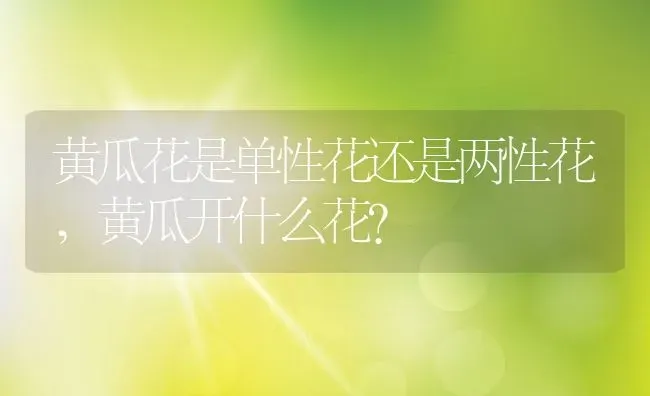 黄瓜花是单性花还是两性花,黄瓜开什么花？ | 养殖常见问题