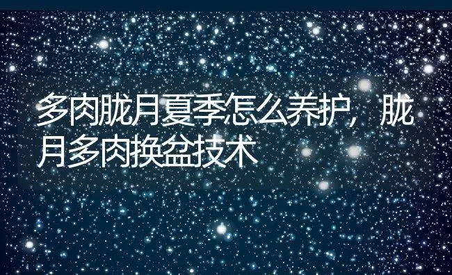 多肉胧月夏季怎么养护,胧月多肉换盆技术 | 养殖常见问题