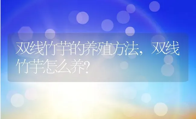 双线竹芋的养殖方法,双线竹芋怎么养？ | 养殖常见问题